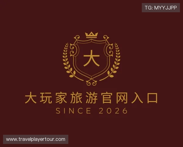 了解大玩家旅游官网入口